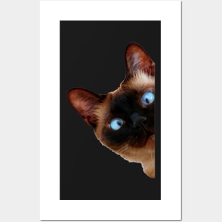 Cute Peeking Cat Posters and Art